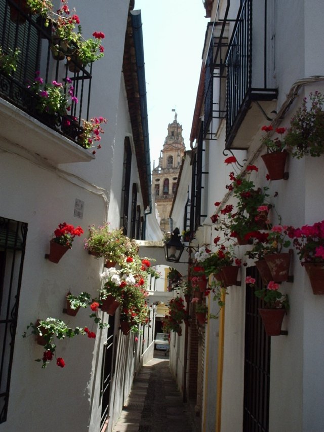 P5220128 Callejon de las Flores - Cordoba